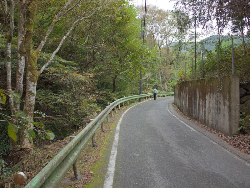 登山口まで舗装路