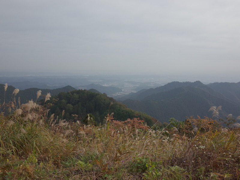 r0050351
