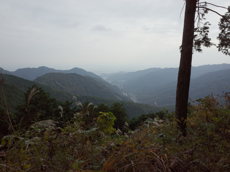 r0050353
