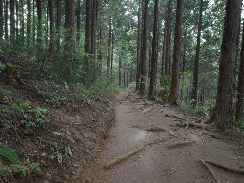 r0050356