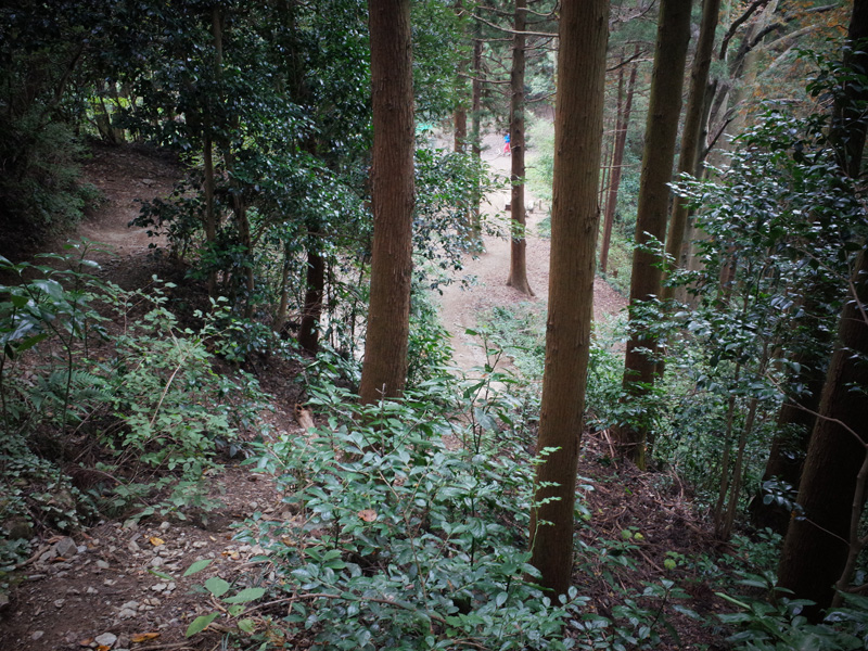 r0050359