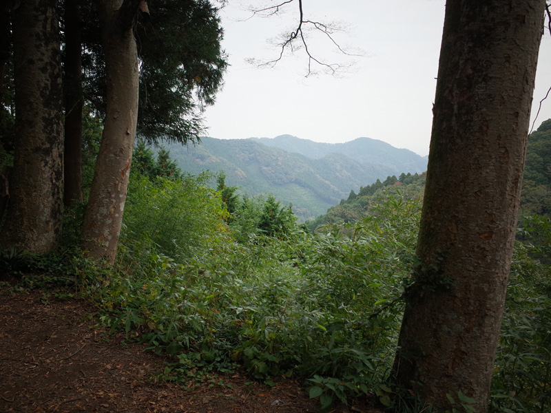 r0050365