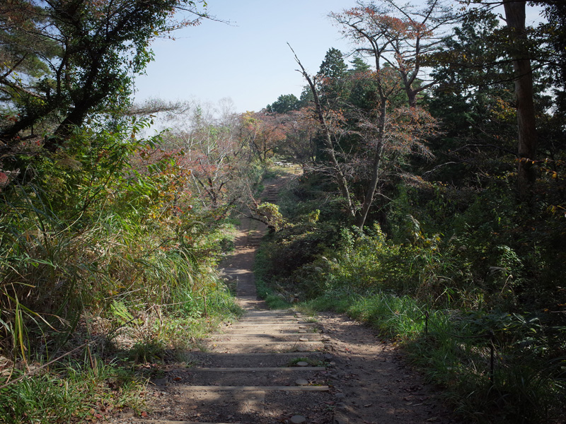 r0050387