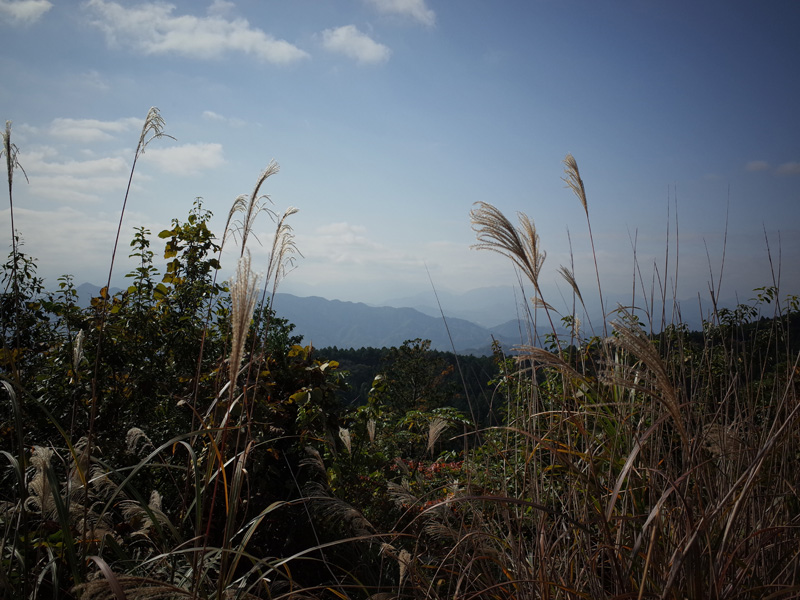 r0050391