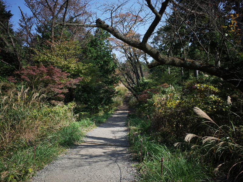r0050404