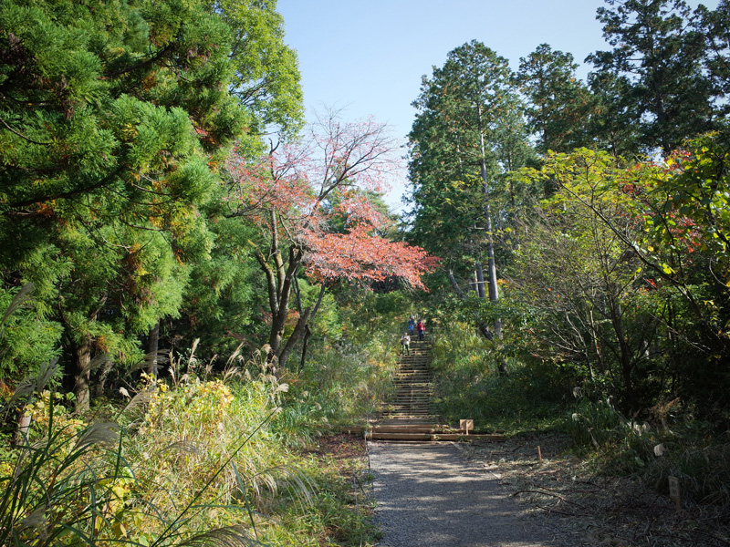 r0050407