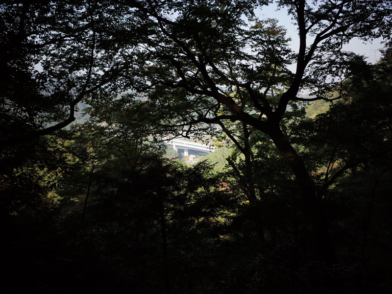 r0050435